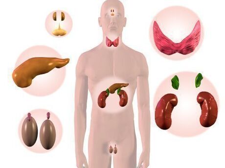 Organe des endokrinen Systems und Psoriasis
